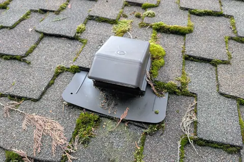 Moss growing between the shingle tabs of a GAF Grand Sequoia roof in Lake Tapps, before replacement